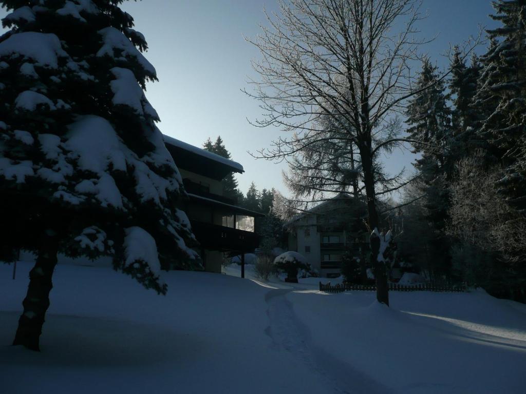 Hotel Landhaus Am Forst Bad Alexandersbad Exterior foto